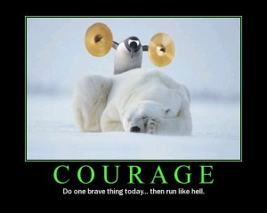 courage pingouin ours