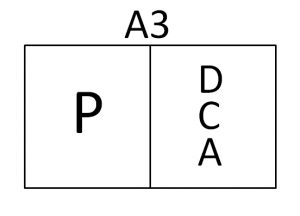 A3-PDCA